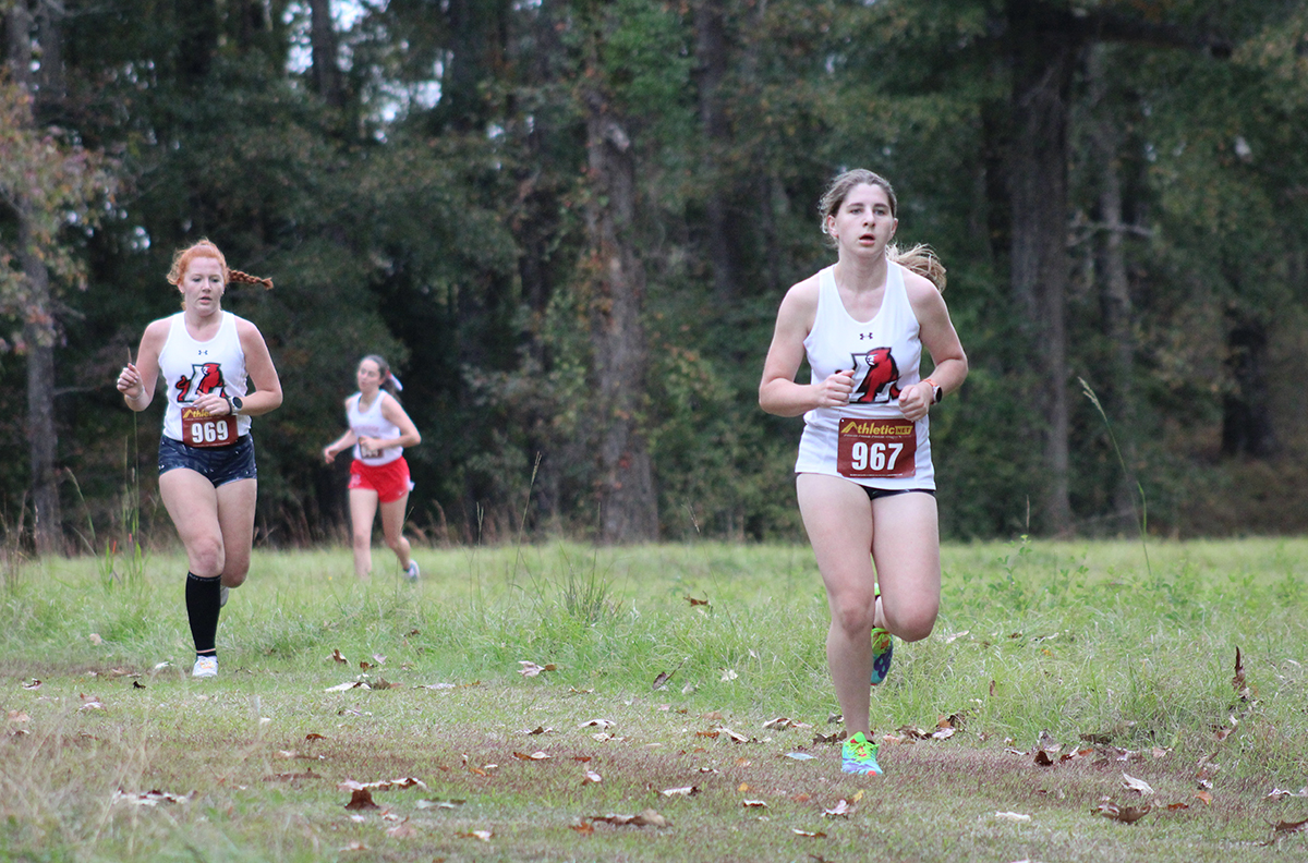 CROSS COUNTRY: Panthers compete in CCS Championships